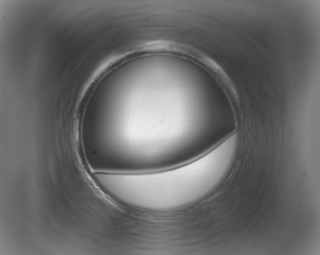 X0000080661376200612150724