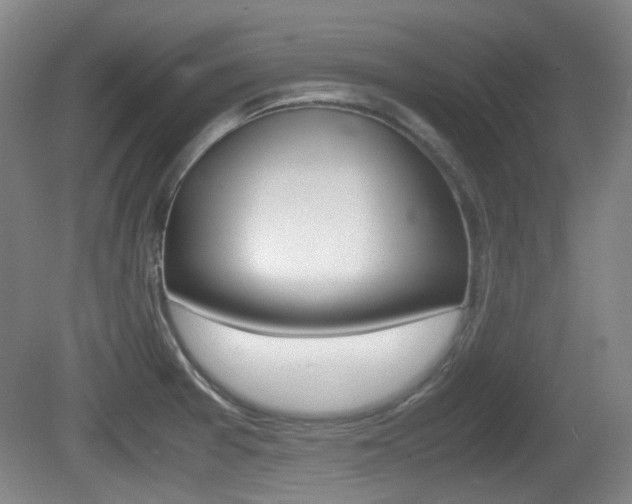 X0000080661377200612150724