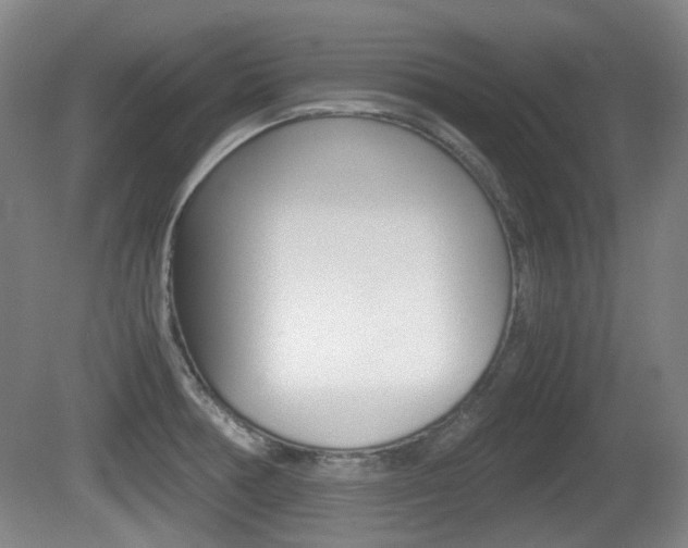 X0000080661378200612150724
