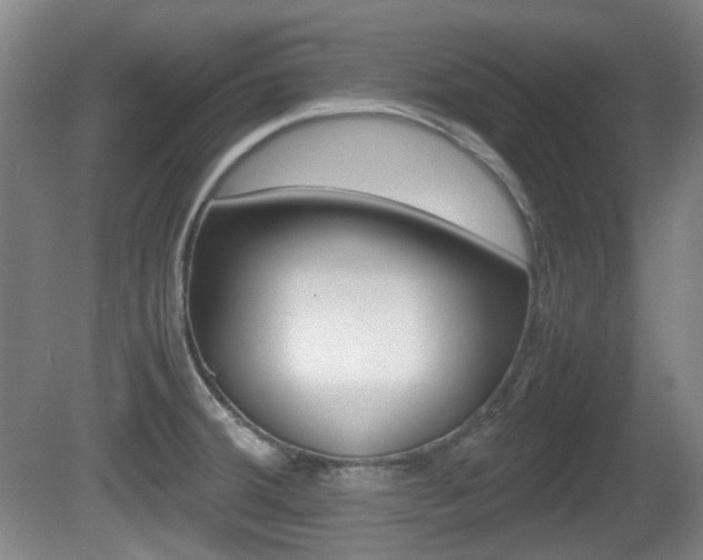X0000080661380200612150724