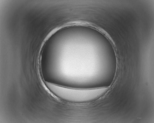 X0000080661381200612150724