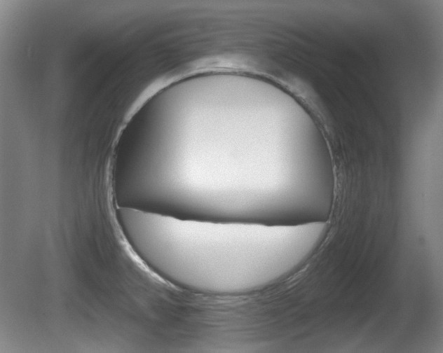 X0000080661382200612150724