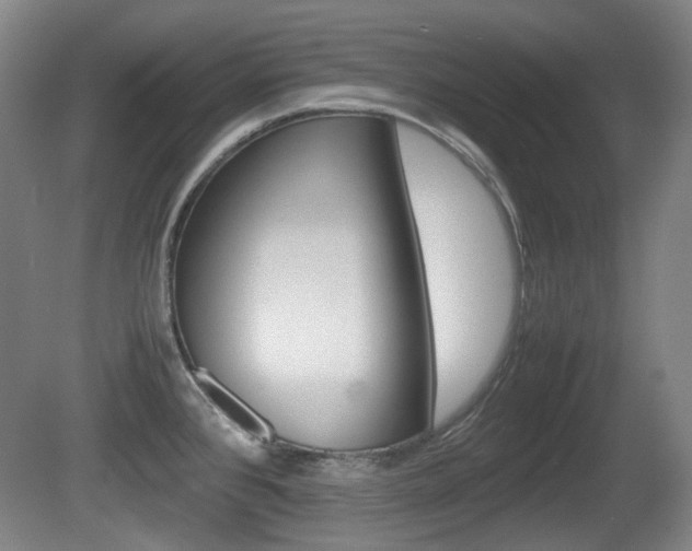 X0000080661384200612150724