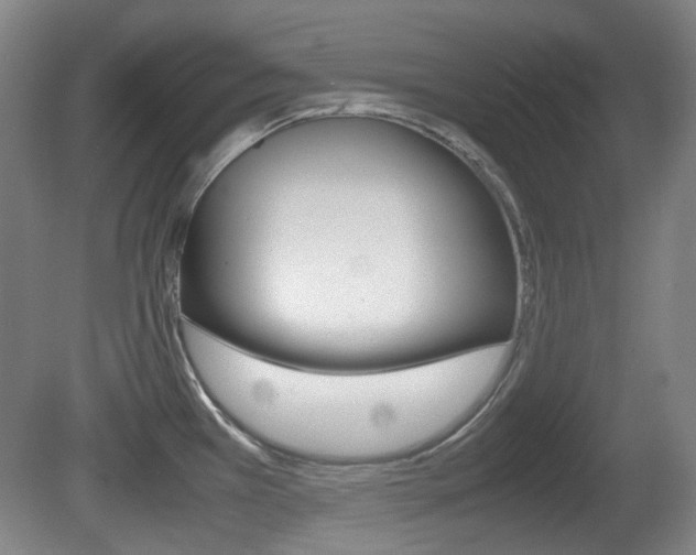 X0000080661385200612150724