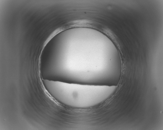 X0000080661386200612150724