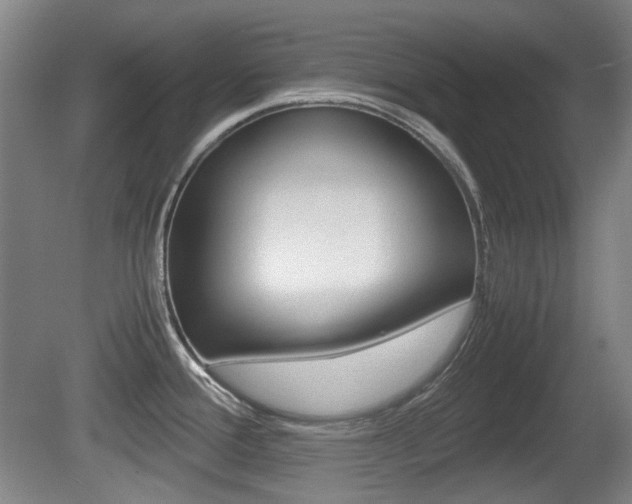 X0000080661388200612150724
