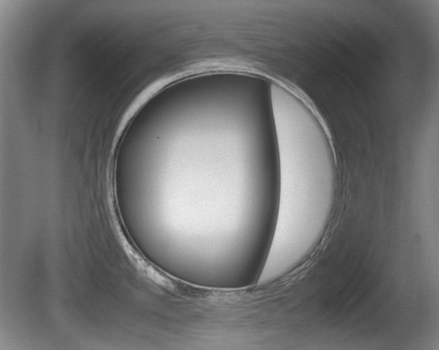 X0000080661389200612150724