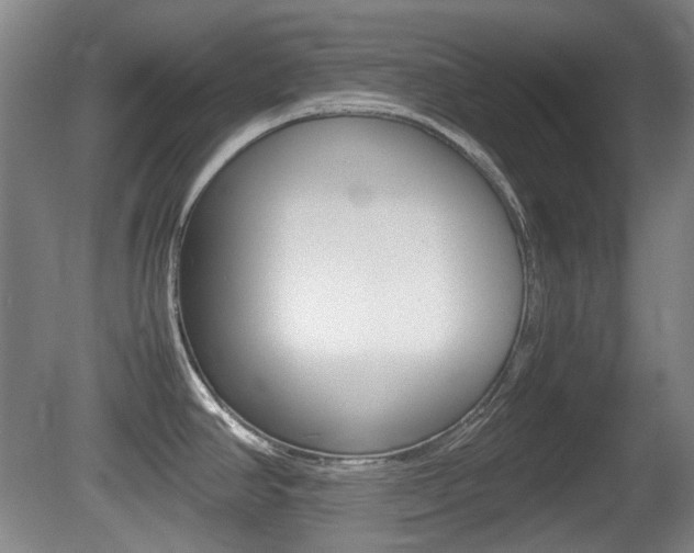 X0000080661390200612150724