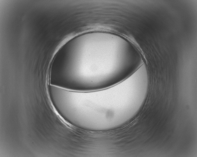 X0000080661391200612150724