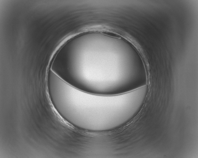 X0000080661392200612150724
