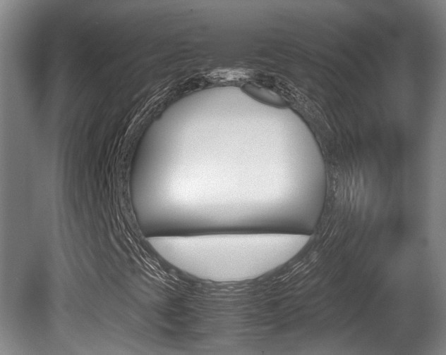 X0000080661393200612150723