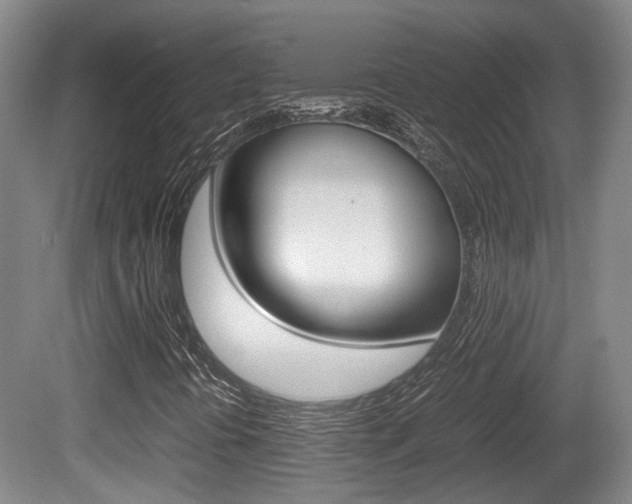 X0000080661394200612150723