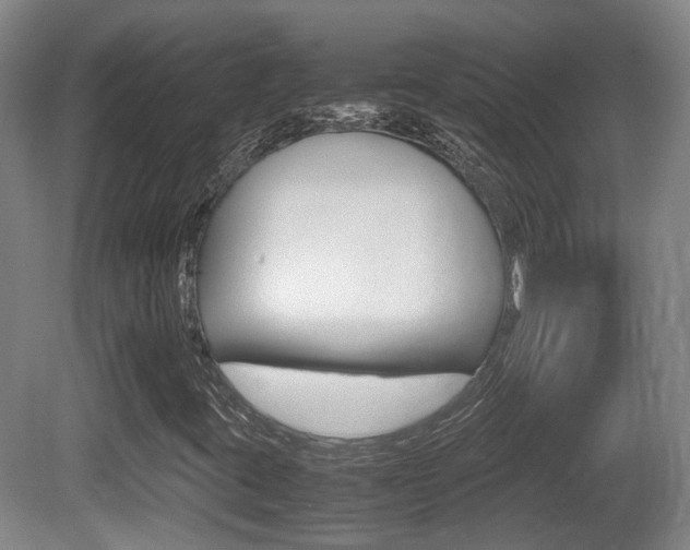 X0000080661395200612150723