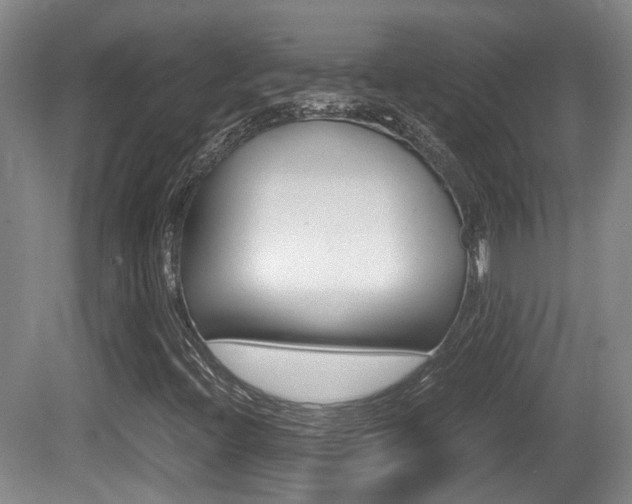 X0000080661396200612150723