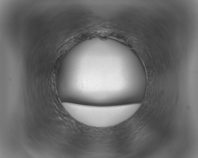 X0000080661397200612150723