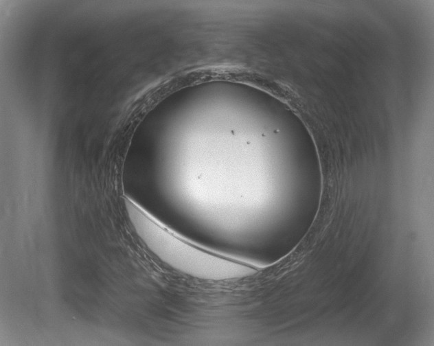 X0000080661398200612150723