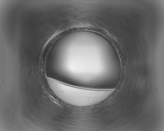 X0000080661400200612150723