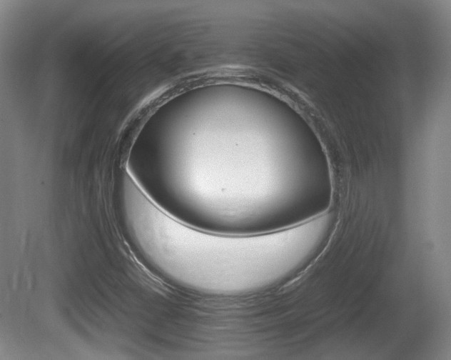 X0000080661402200612150723