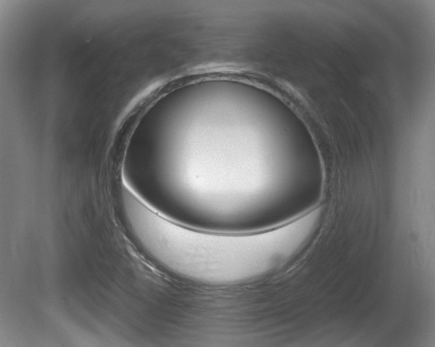 X0000080661406200612150723