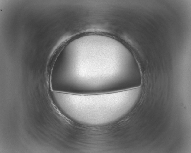 X0000080661408200612150723