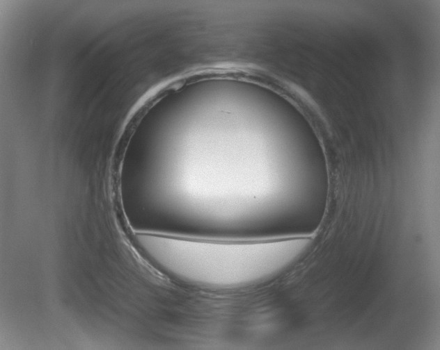 X0000080661412200612150723