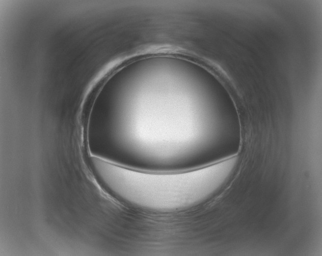 X0000080661414200612150723