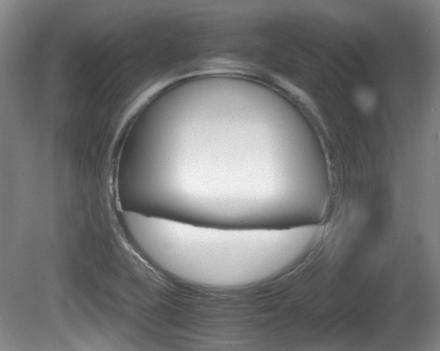 X0000080661415200612150723