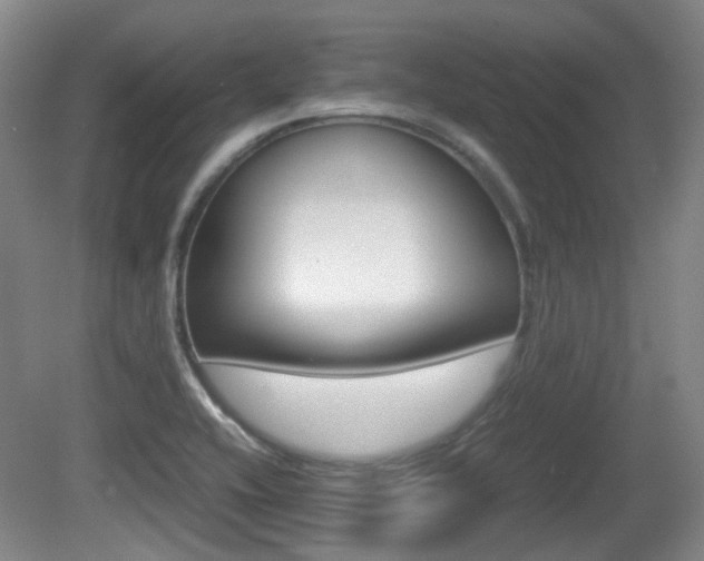 X0000080661416200612150723