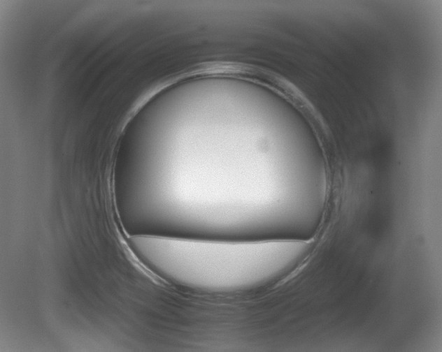 X0000080661417200612150723