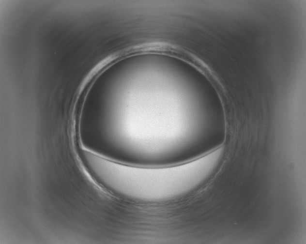 X0000080661418200612150723
