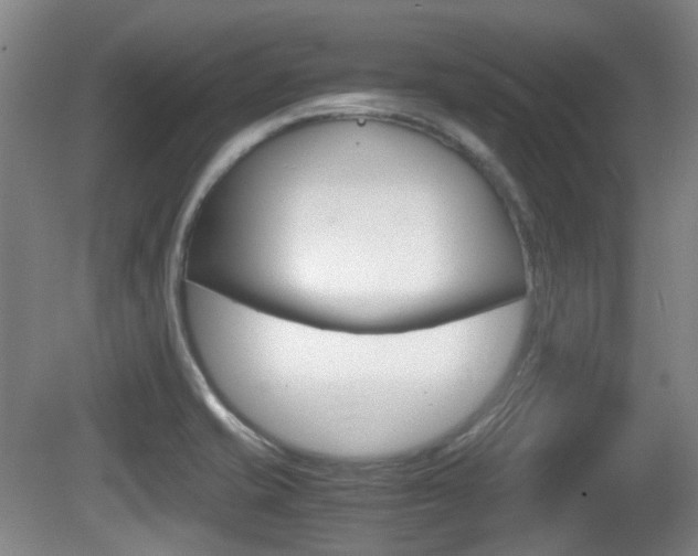 X0000080661421200612150723