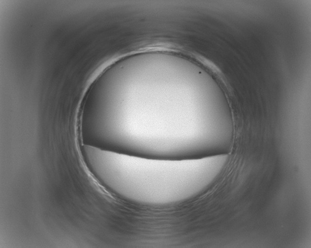 X0000080661423200612150723