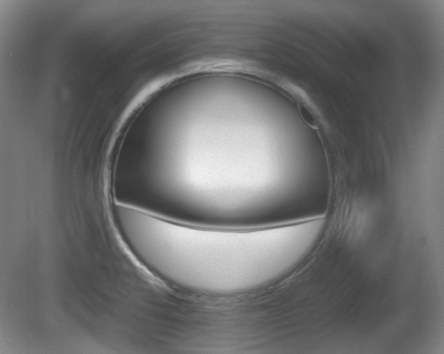 X0000080661424200612150723