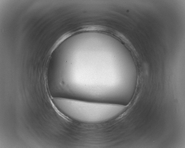 X0000080661425200612150723