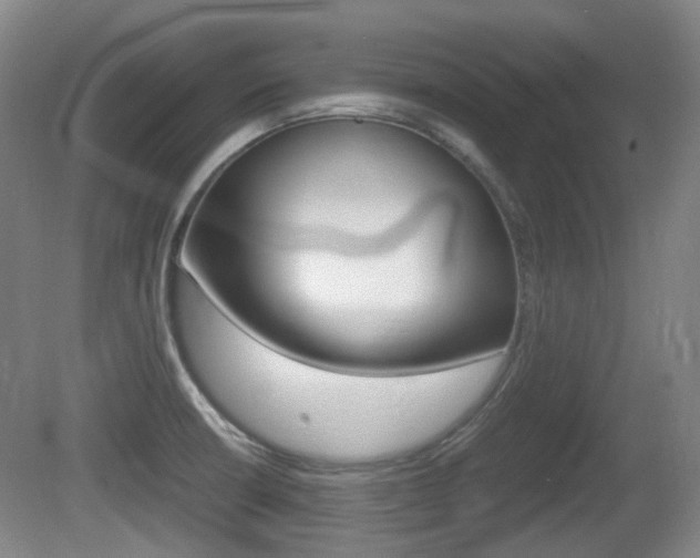 X0000080661426200612150723
