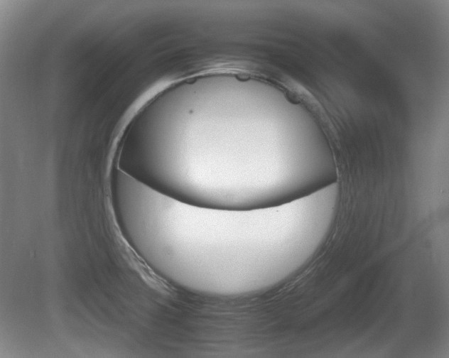 X0000080661427200612150724