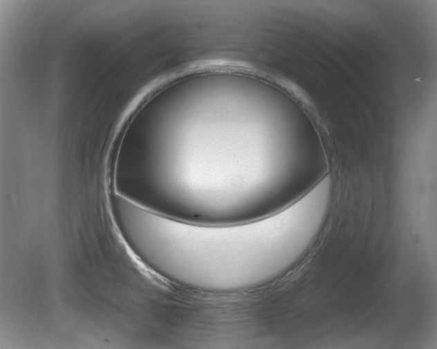 X0000080661430200612150724
