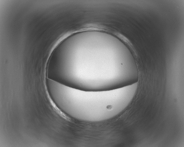 X0000080661431200612150724