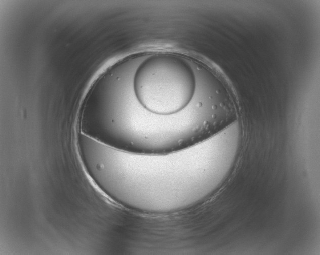X0000080661432200612150724