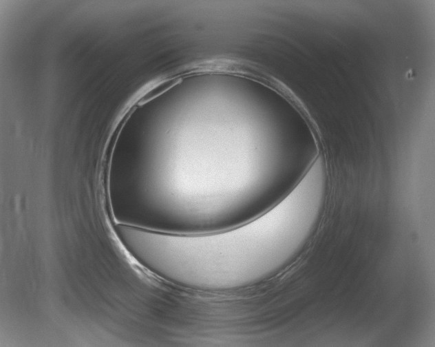 X0000080661434200612150724