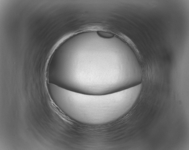 X0000080661435200612150724