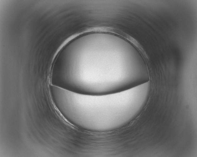 X0000080661436200612150724