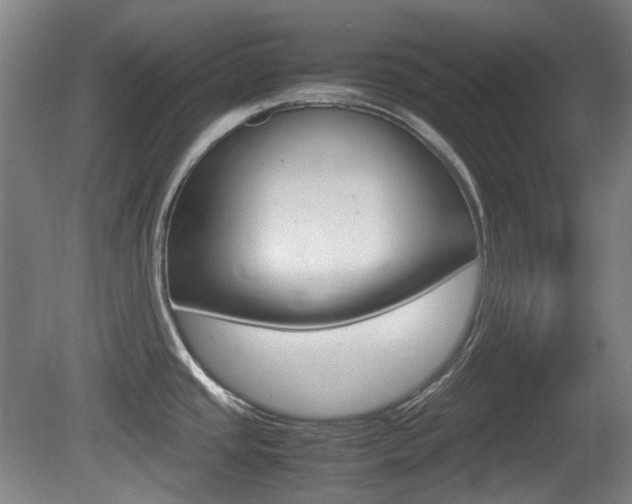 X0000080661437200612150724
