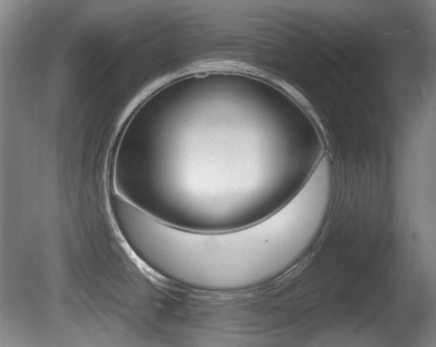 X0000080661438200612150724
