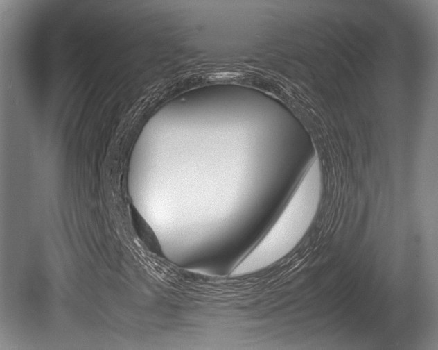X0000080661441200612150723