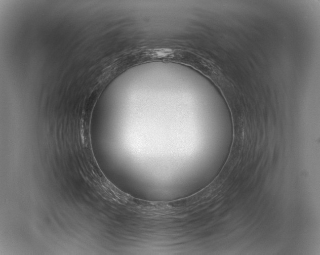 X0000080661442200612150723