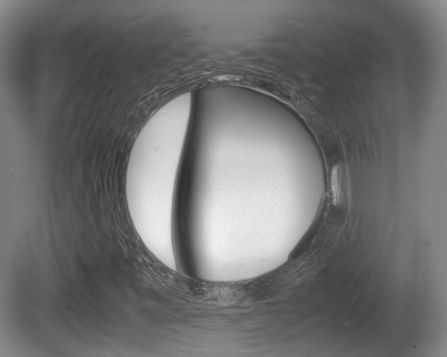 X0000080661443200612150723