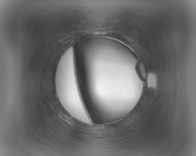 X0000080661444200612150723
