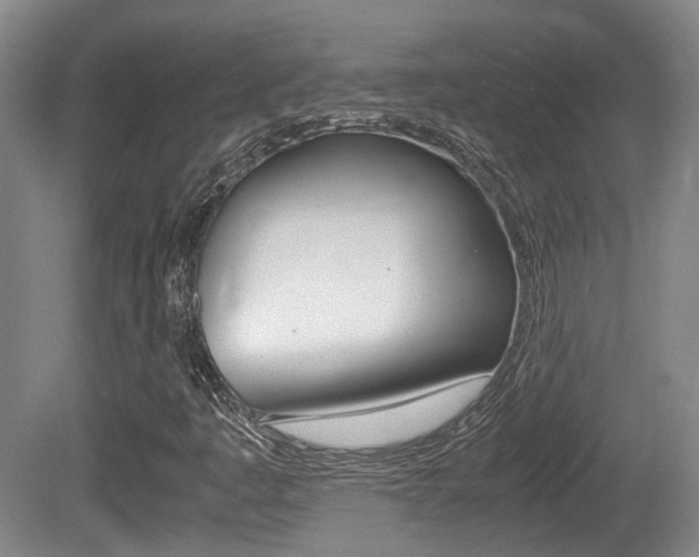 X0000080661445200612150723