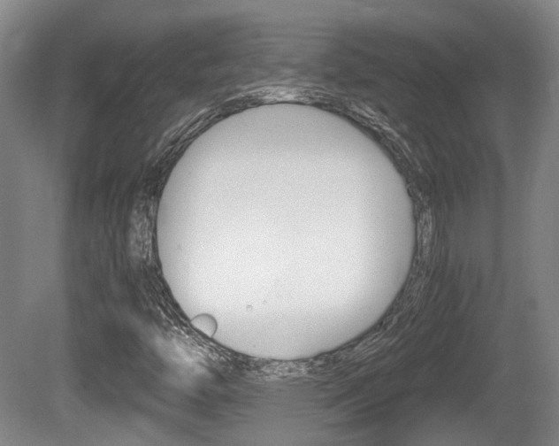 X0000080661446200612150723